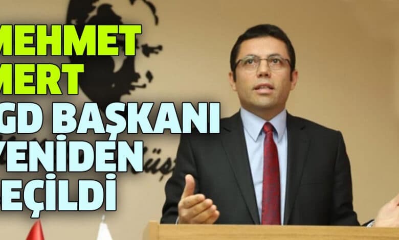 mehmet mert igd