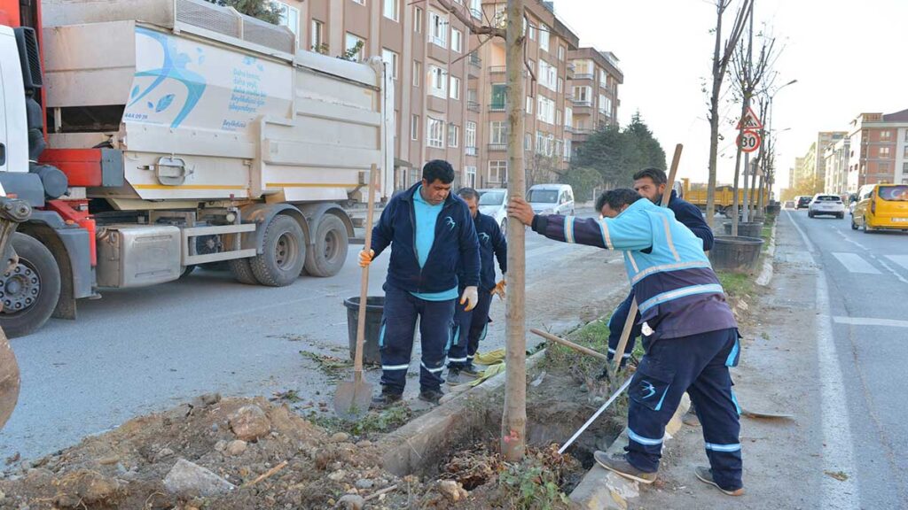 Beylikdüzü Ağaçlandırılmaya Devam Ediliyor