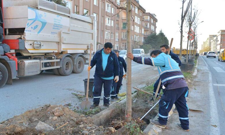 Beylikdüzü Ağaçlandırılmaya Devam Ediliyor