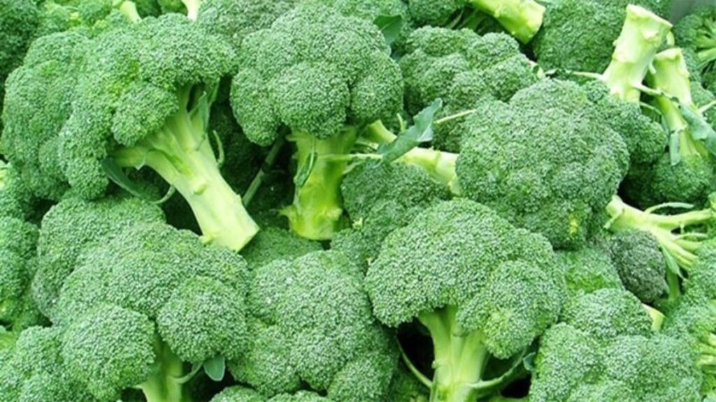 1200x627 brokolinin faydalari nelerdir brokoli ne ise yarar besin degeri nedir 1621923911130